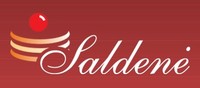 saldene_logo_2.jpg